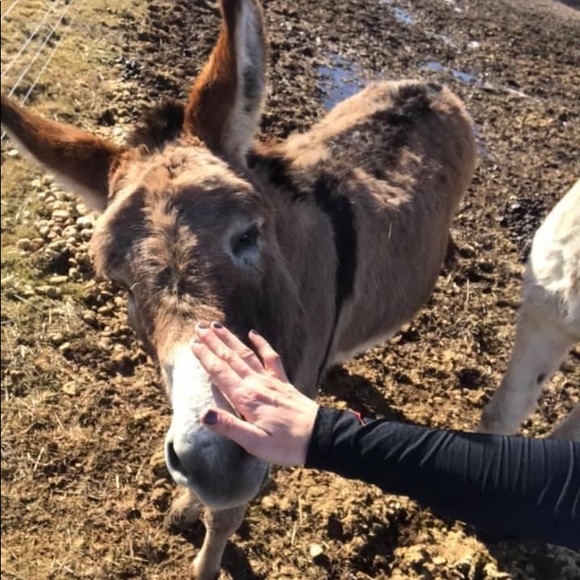 Meet your Posher, Holly - Picture 1 of 1